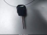 Miniaturka zdjęcia 11