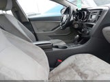 Miniaturka zdjęcia 5