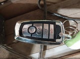 Miniaturka zdjęcia 11