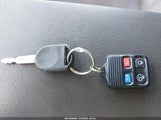 Miniaturka zdjęcia 11