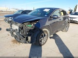 Miniaturka zdjęcia 2