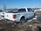 Ford F-150 Fx4/Lariat/Xl/Xlt 1FTPX14V59KC51684 fotografie