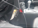 Miniaturka zdjęcia 11