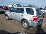 Miniaturka zdjęcia 3