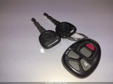 Miniaturka zdjęcia 11