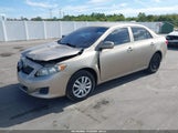 Miniaturka zdjęcia 2