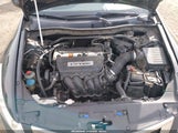 Miniaturka zdjęcia 10