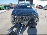 Miniaturka zdjęcia 6