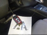 Miniaturka zdjęcia 11