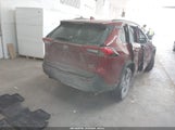 Miniaturka zdjęcia 4