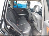 Miniaturka zdjęcia 8