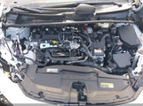 Toyota Prius Xle JTDACAAU9T3072191 photo
