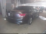 Honda Accord 3.5 Ex-L 1HGCP36818A043518 photo