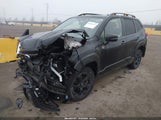 Subaru Forester Wilderness JF2SKAJC8RH422177 снимка
