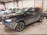 Jeep Cherokee Trailhawk 4X4 1C4PJMBX4KD356556 снимка