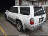 Miniaturka zdjęcia 3