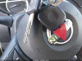 Miniaturka zdjęcia 11