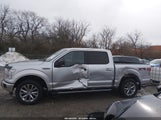 Ford F-150 Xlt 1FTEW1EP5GFC88394 снимка