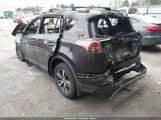 Toyota Rav4 Xle 2T3WFREV6HW366179 снимка