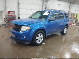 Ford Escape Xlt 1FMCU9D73BKB44917 снимка