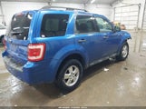 Ford Escape 1SMCU9D73BKB44917 fotografie