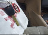 Miniaturka zdjęcia 11