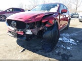 Miniaturka zdjęcia 6