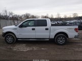 Ford F-150 Xlt 1FTFW1ET1BFC18661 снимка