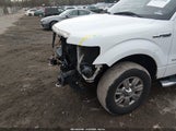 Ford F-150 Xlt 1FTFW1ET1BFC18661 снимка
