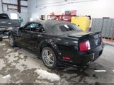 Ford Mustang Gt Deluxe/Gt Premium 1ZVHT85H975279367 fotografie