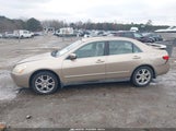 Honda Accord 3.0 Lx 1HGCM66385A055885 photo