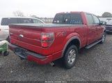 Miniaturka zdjęcia 4