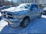 Dodge Ram  Slt/Sport/Trx 1D7RV1GT3AS185770 fotografie