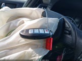 Miniaturka zdjęcia 11