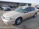 Chevrolet Malibu 1G1ND52J72M601634 снимка