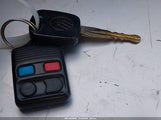 Miniaturka zdjęcia 11