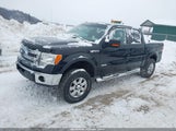 Ford F-150 Xlt 1FTFW1ETXDFA01029 снимка