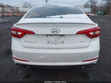 Hyundai Sonata Sport 5NPE34AF9GH283146 fotografie