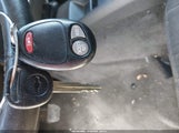 Miniaturka zdjęcia 11