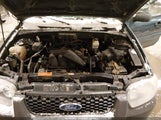 Ford Escape Xlt/Xlt Sport 1FMYU031X6KB05455 fotografie