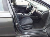 Miniaturka zdjęcia 5