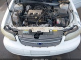 Chevrolet Malibu 1G1ND52JX1M669506 снимка