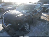 Miniaturka zdjęcia 2