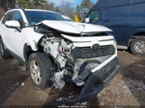 Toyota Rav4 Xle 2T3P1RFV8KW011717 fotografie