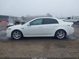 Acura Tl 3.2 19UUA66257A007803 снимка
