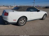 Miniaturka zdjęcia 4