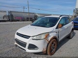 Ford Escape Se 1FMCU0GX4EUB68868 снимка
