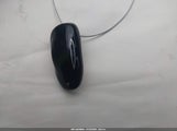 Miniaturka zdjęcia 11