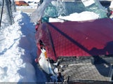 Honda Cr-V Lx SHSRD78566U425889 снимка