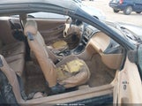 Miniaturka zdjęcia 5